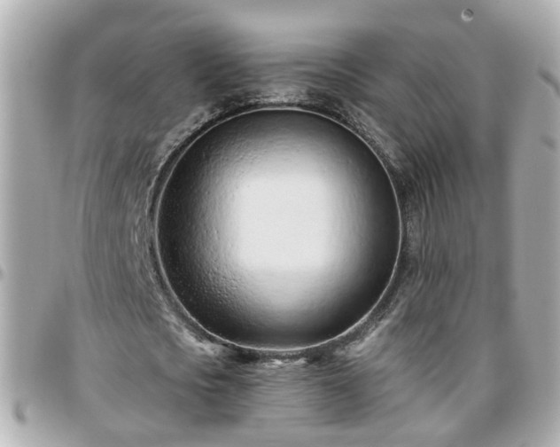 X0000096200721200801251012