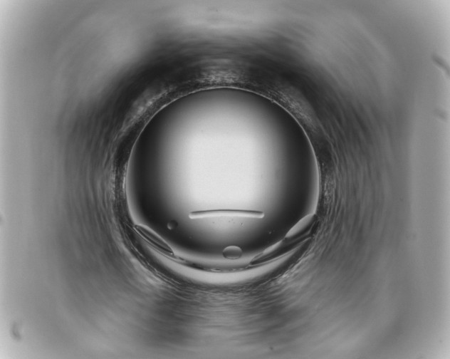 X0000096200722200801251012