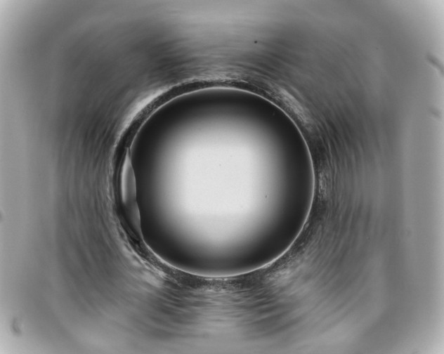 X0000096200724200801251012