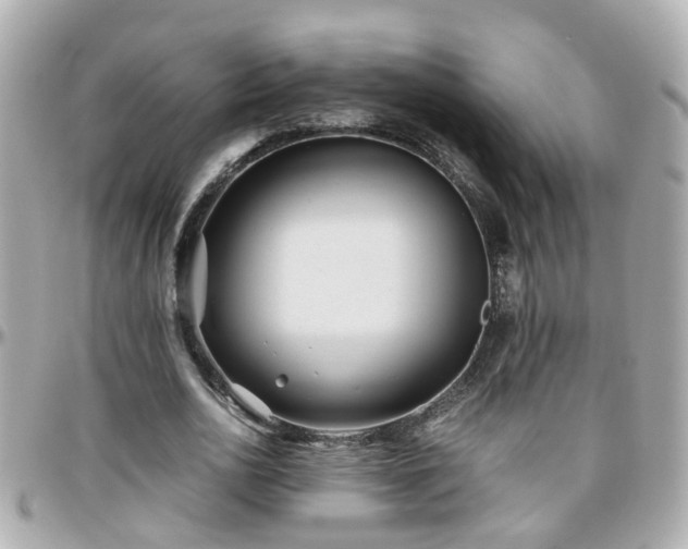X0000096200726200801251012