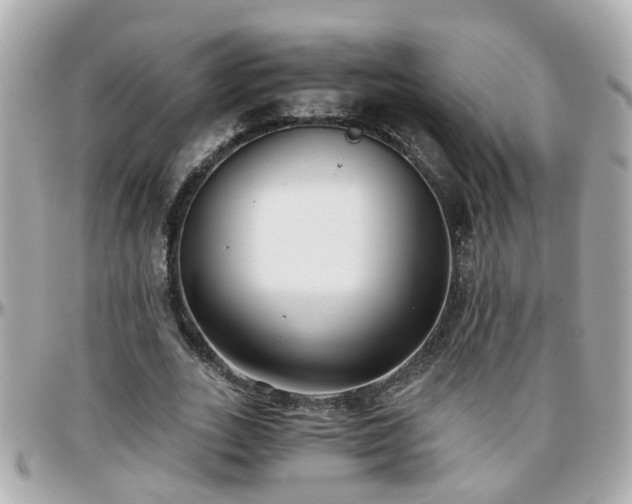 X0000096200727200801251012