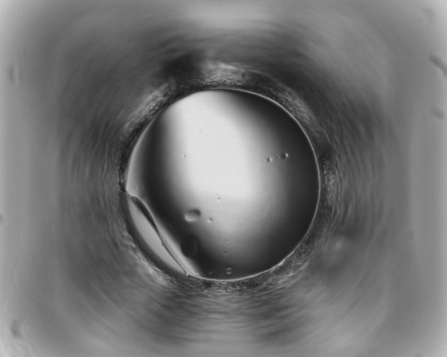 X0000096200729200801251012