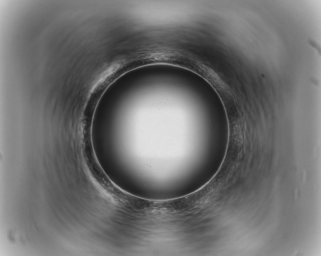 X0000096200730200801251012