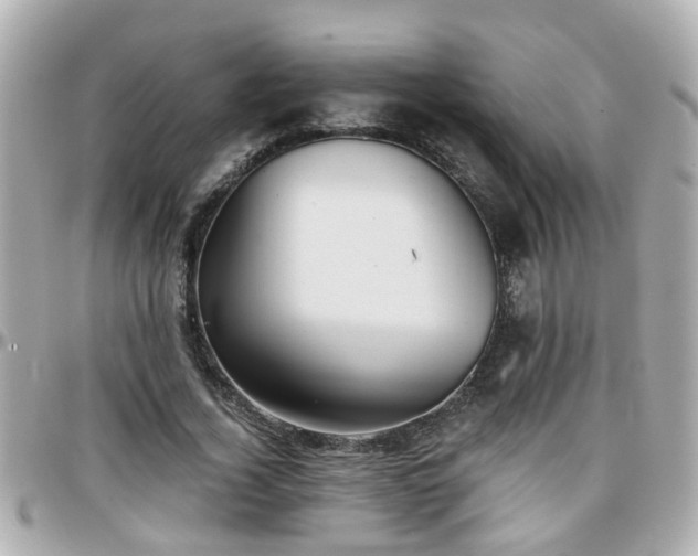 X0000096200732200801251012