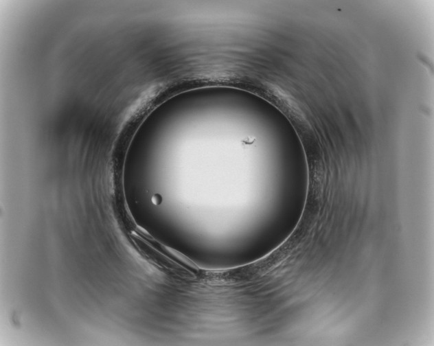 X0000096200734200801251012
