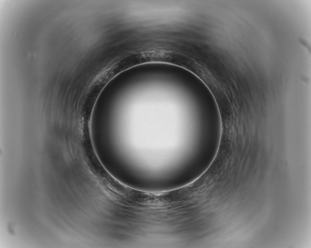 X0000096200735200801251012