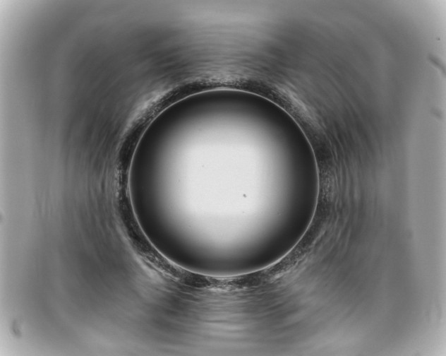 X0000096200736200801251012
