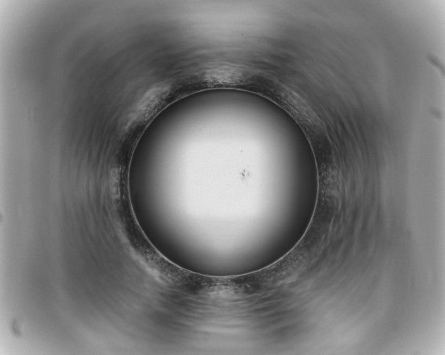 X0000096200738200801251012