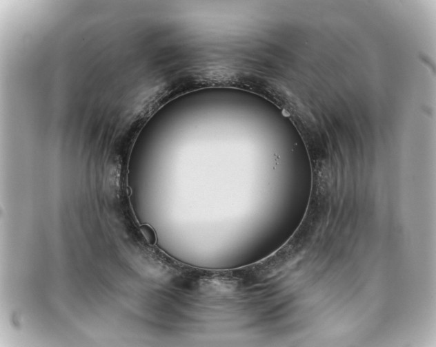 X0000096200739200801251012