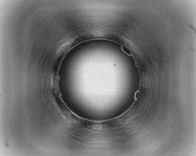 X0000096200740200801251012