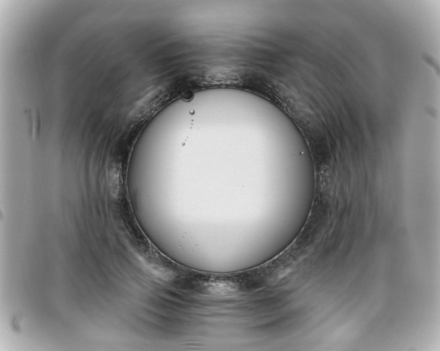 X0000096200741200801251012