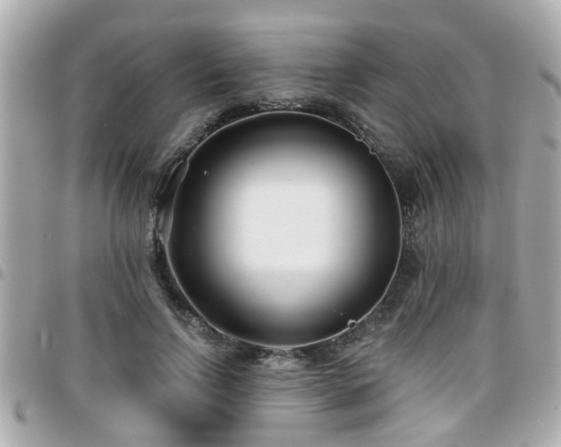 X0000096200742200801251012