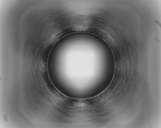X0000096200743200801251012