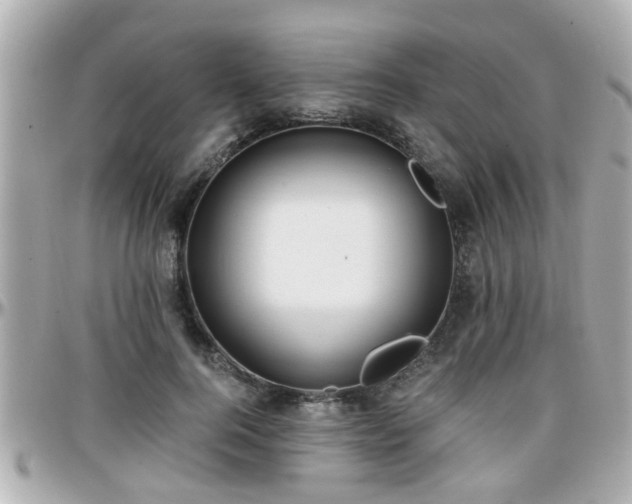 X0000096200744200801251012