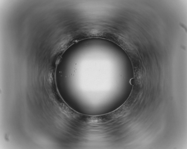 X0000096200746200801251012