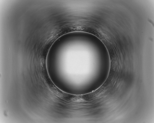 X0000096200747200801251012