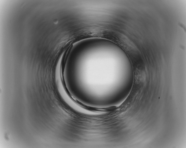 X0000096200748200801251012