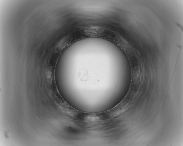 X0000096200749200801251012