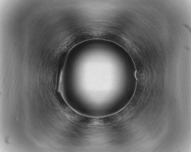 X0000096200750200801251012