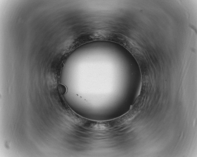 X0000096200751200801251012