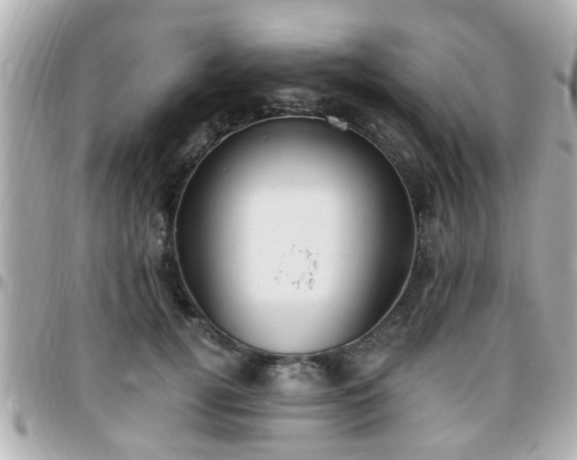 X0000096200752200801251012