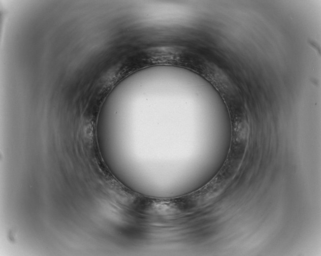 X0000096200753200801251012