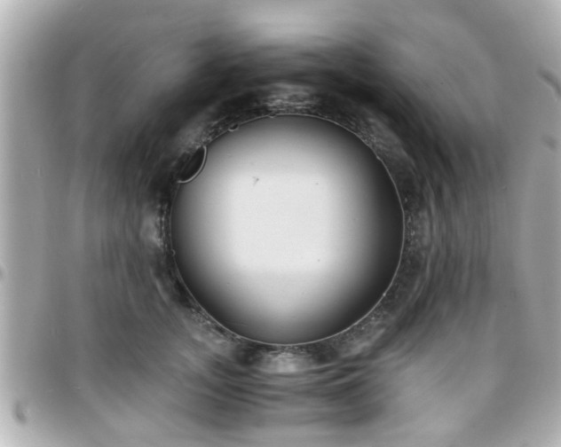 X0000096200755200801251012