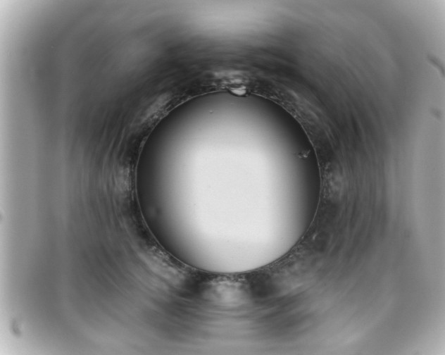 X0000096200756200801251012