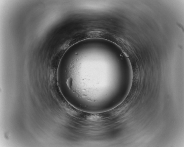 X0000096200759200801251012