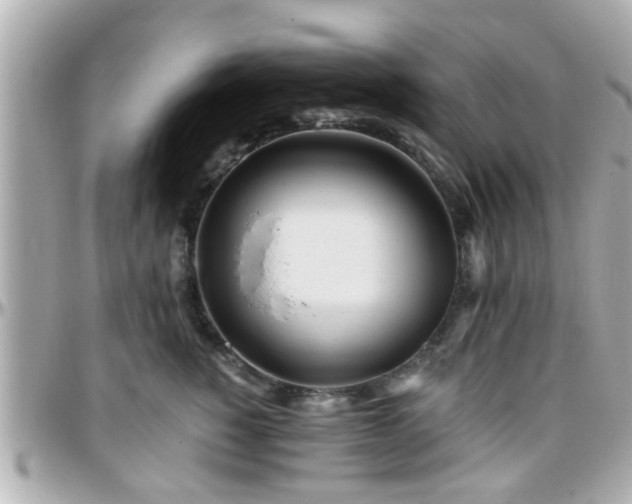 X0000096200760200801251012