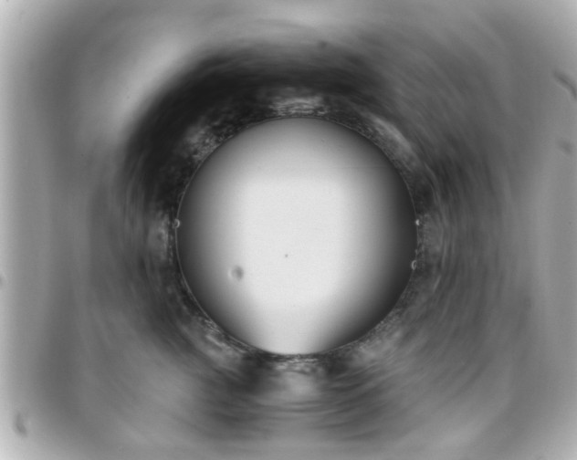X0000096200761200801251012