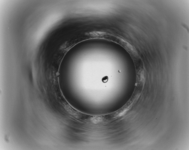 X0000096200762200801251012