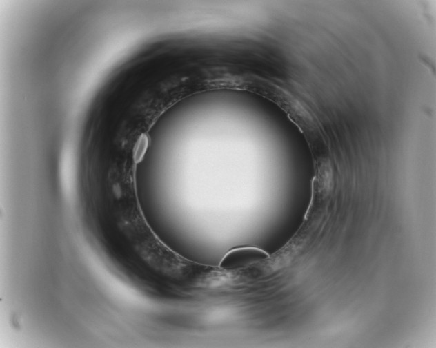 X0000096200764200801251012