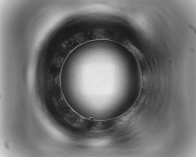 X0000096200765200801251012