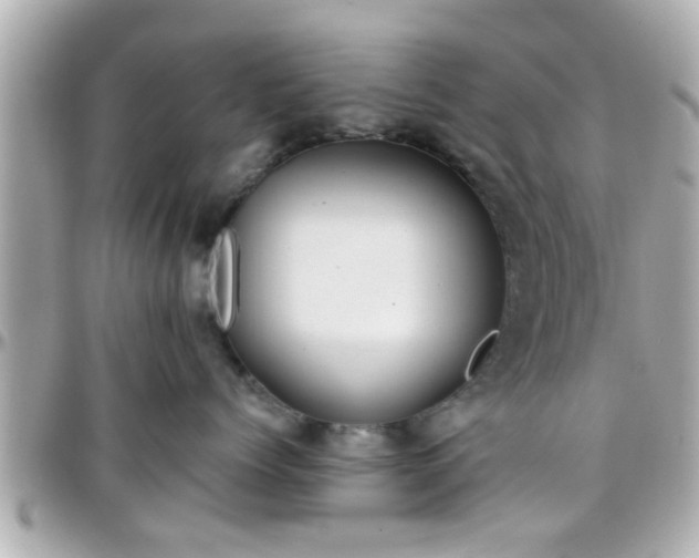 X0000096200768200801251012