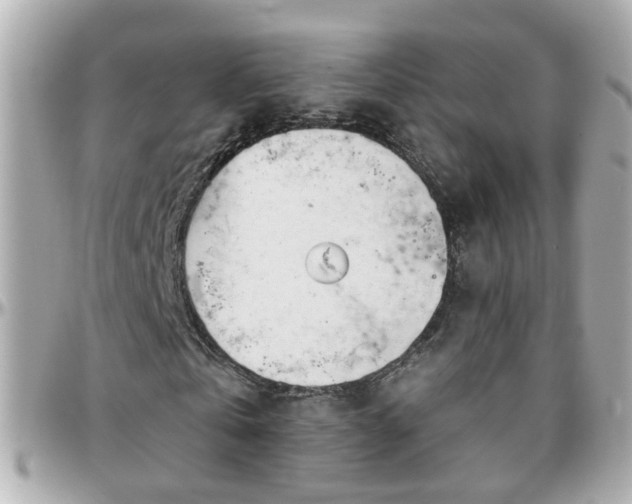 X0000096200769200801251012