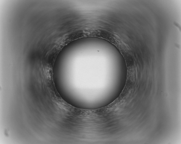 X0000096200770200801251012