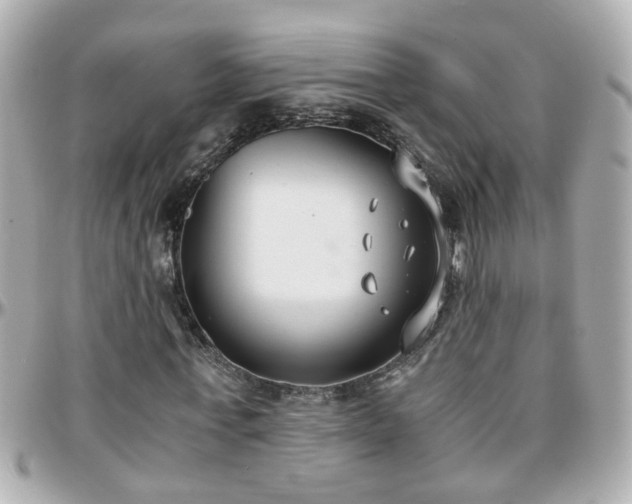 X0000096200771200801251012