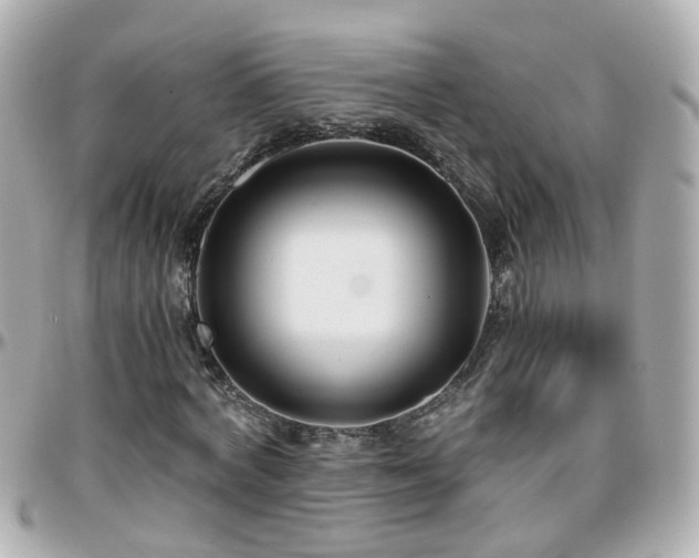 X0000096200772200801251012