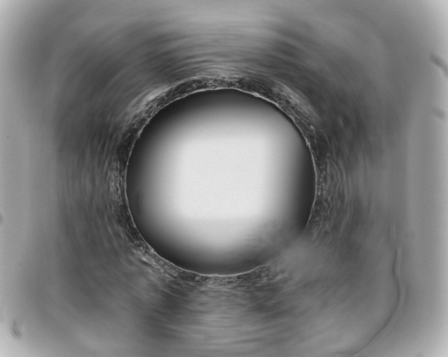 X0000096200773200801251012