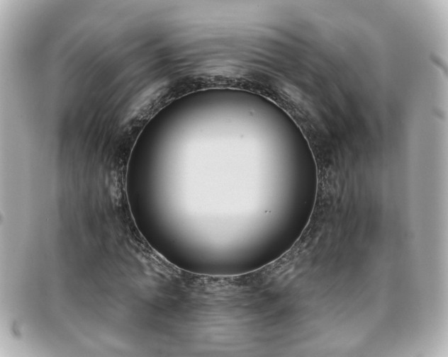 X0000096200774200801251012