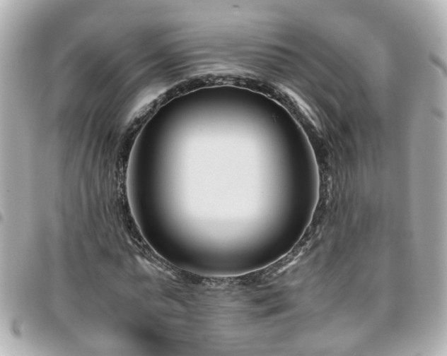X0000096200775200801251012