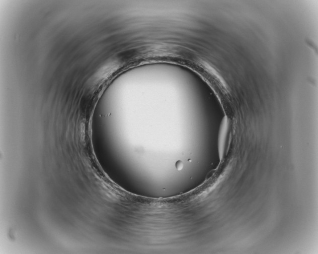 X0000096200777200801251012