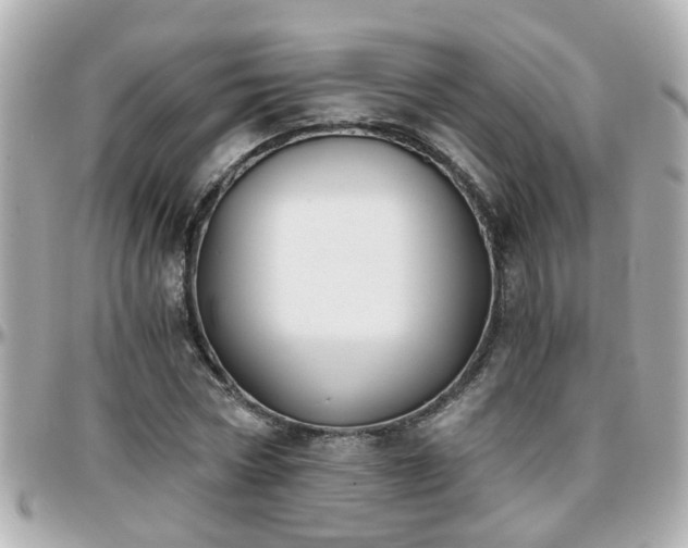 X0000096200778200801251012