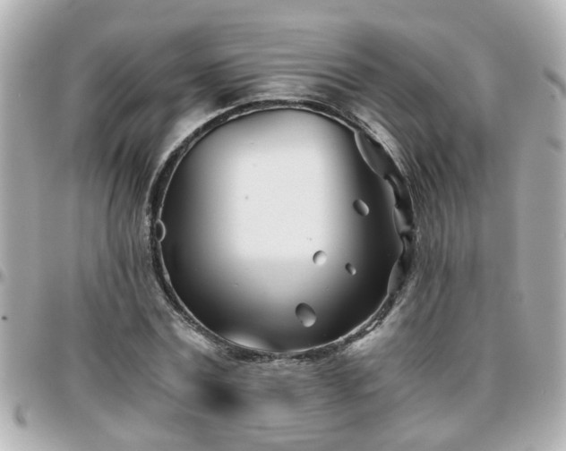 X0000096200779200801251012