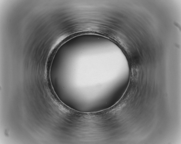 X0000096200780200801251012