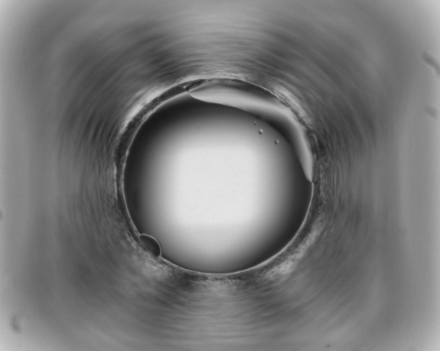X0000096200781200801251012