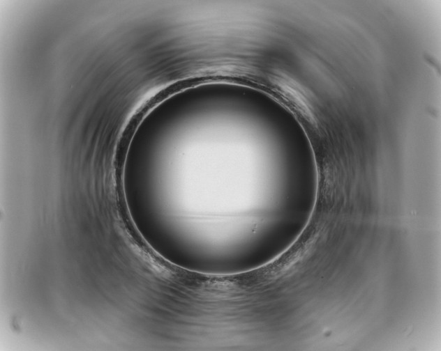 X0000096200784200801251012