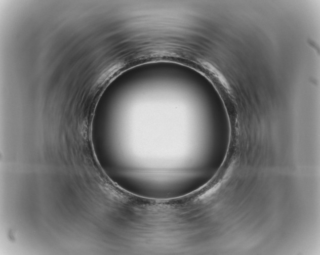 X0000096200785200801251012