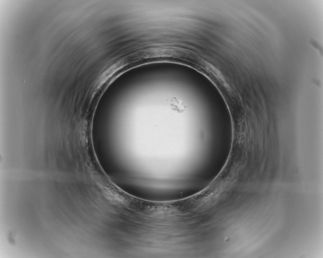 X0000096200786200801251012